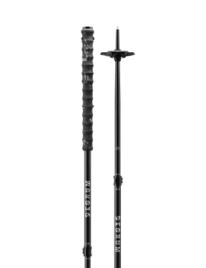 Apollo Freeride Poles