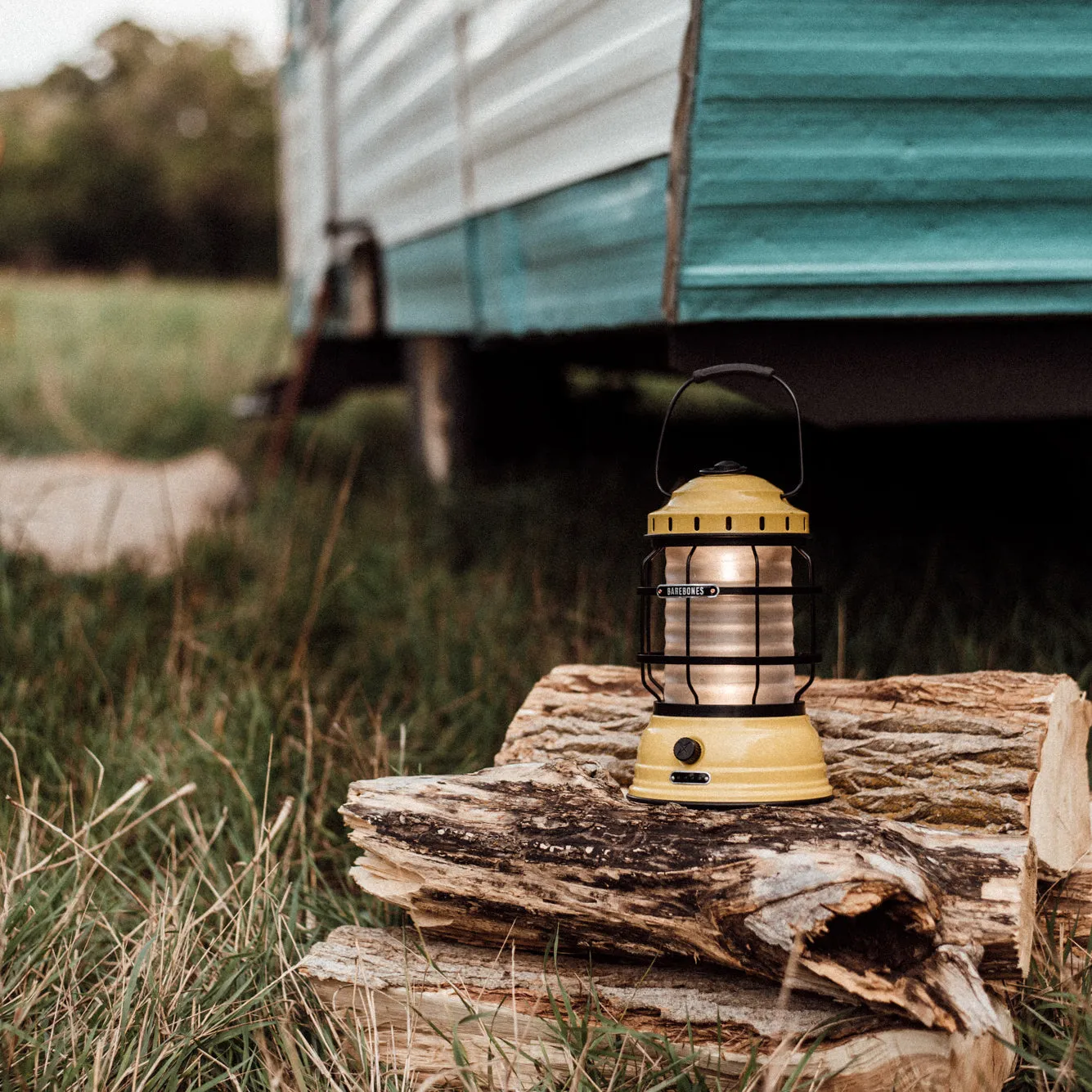 Forest Lantern