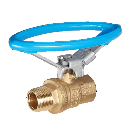 RuB s.92  2" MIPxFIP Full Port 2-way ball valve with blue oval lockable handle