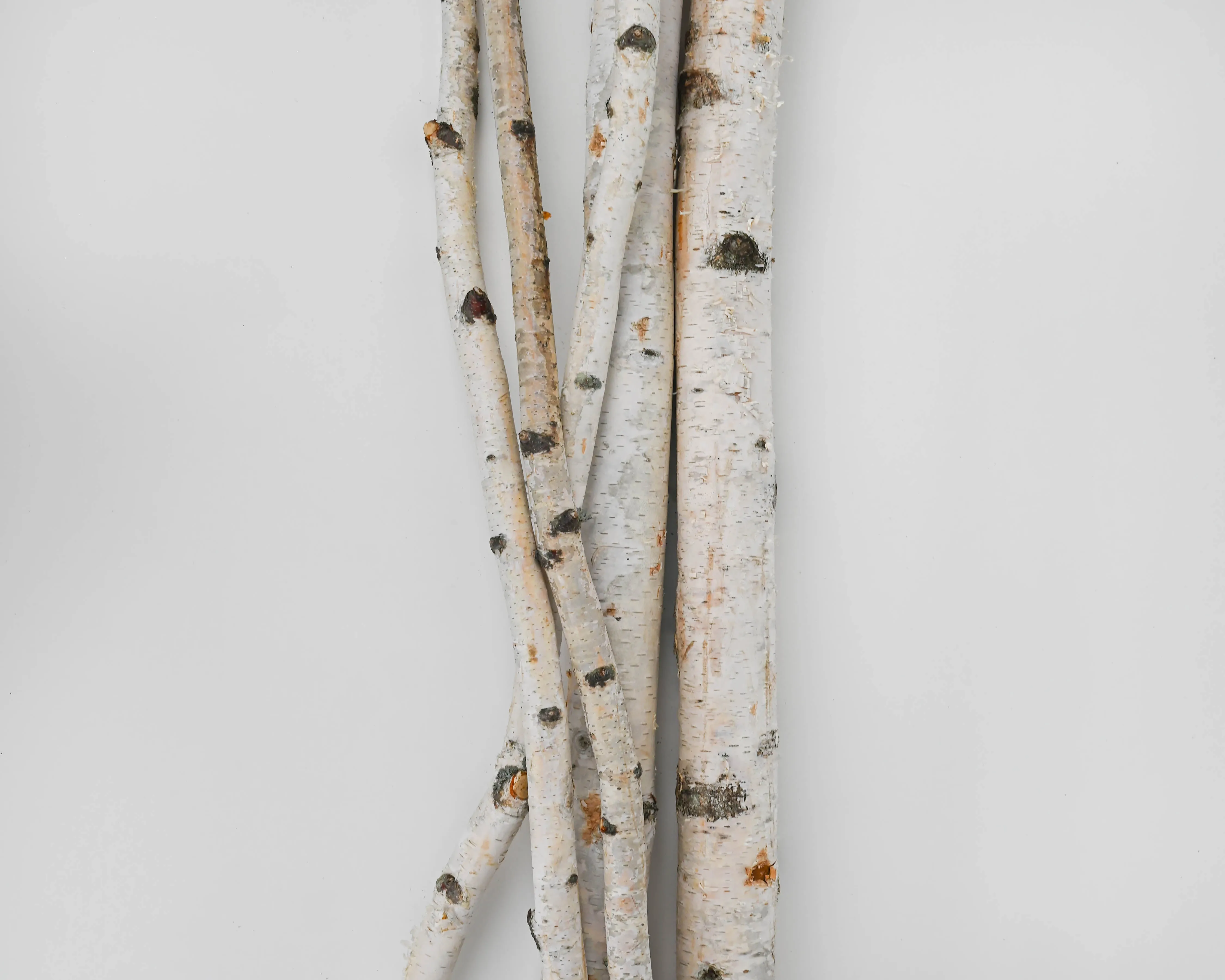 White Birch Poles For Sale - Decorative